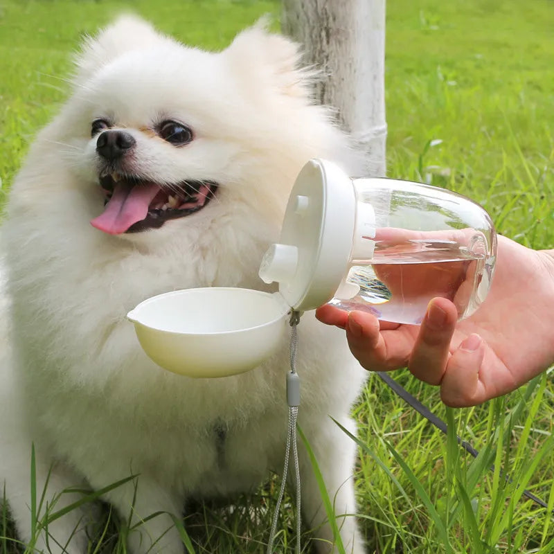 Trinkflasche für Hunde – Portable Wasserflasche mit Auslaufmechanismus