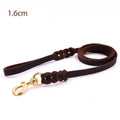 Leder Hundeleine mit Goldener Karabiner – Robustes und Elegantes Hundezubehör