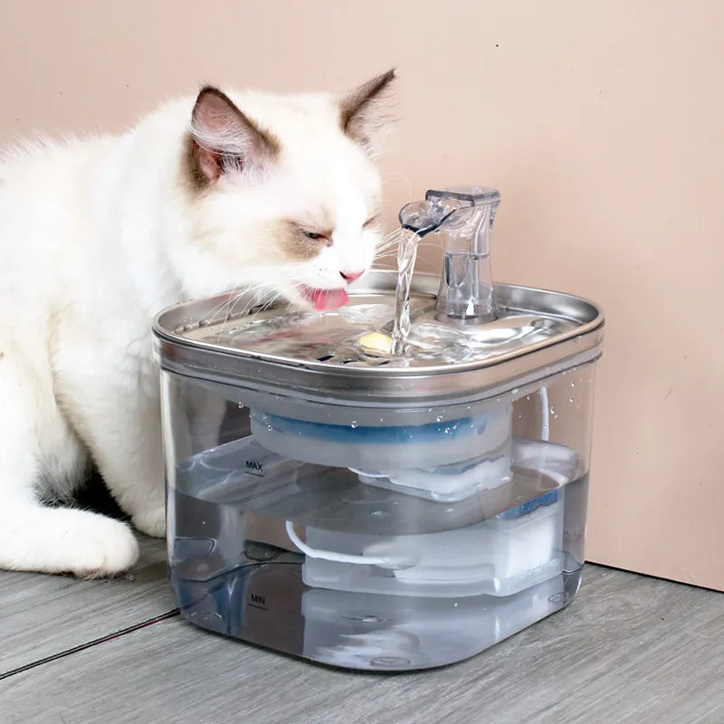Automatischer Trinkbrunnen Für Katzen Und Hunde – Leiser Wasserspender Mit Filter