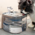 Automatischer Trinkbrunnen Für Katzen Und Hunde – Leiser Wasserspender Mit Filter