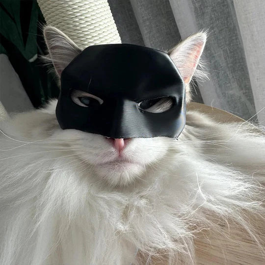 Heldenhafte Katzenmaske Für Einzigartige Auftritte