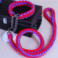 Geflochtenes Hundehalsband mit Führleine und Kettenglied – Robustes Trainingsset für Mittelgroße und Große Hunde