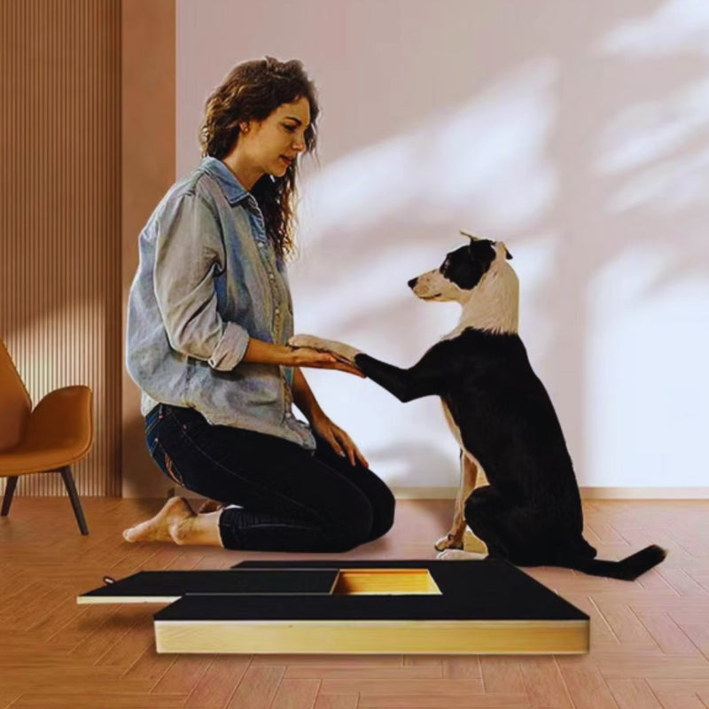 Hundespielzeug Aus Holz mit Futterversteck Interaktives Training für Hunde