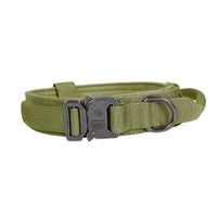 Verstellbares Nylon Hundehalsband mit Robustem Klickverschluss