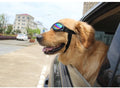 Hundegoggles UV-Schutzbrille in 7 Farben für Hunde