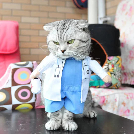 Kreative Verkleidungen Für Haustiere