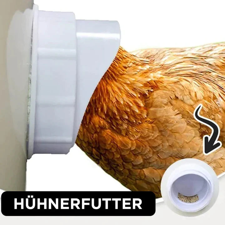 Selbstversorgendes Hühnerfutter-System