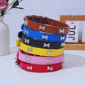 Hundehalsband mit Knochen-Nieten für kleine und mittelgroße Hunde