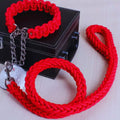 Geflochtenes Hundehalsband mit Führleine und Kettenglied – Robustes Trainingsset für Mittelgroße und Große Hunde