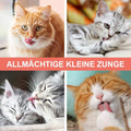 Katzenzungen Massagekamm
