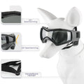 Stylischer Hundehelm mit Brille