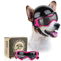 Stylischer Hundehelm mit Brille