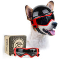 Stylischer Hundehelm mit Brille