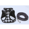 Stilvolles Hundegeschirr mit Leine und Schleife – Komfort und Sicherheit für Kleine Hunde