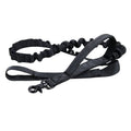 Verstellbares Nylon Hundehalsband mit Robustem Klickverschluss