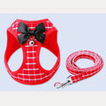 Stilvolles Hundegeschirr mit Leine und Schleife – Komfort und Sicherheit für Kleine Hunde