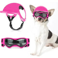 Stylischer Hundehelm mit Brille