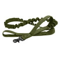 Verstellbares Nylon Hundehalsband mit Robustem Klickverschluss