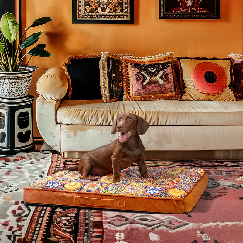 Luxuriöses Hundebett im marokkanischen Stil