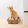 Biologisch Abbaubare Katzenstreu Box – Nachhaltige Hygiene für Dein Haustier