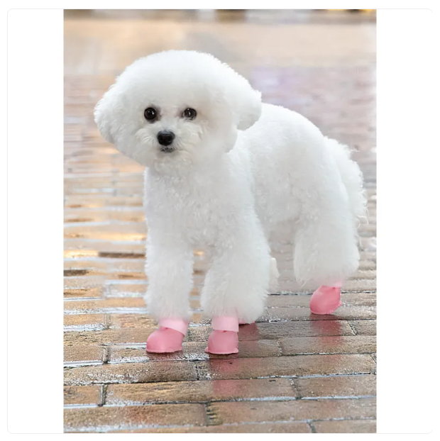 Wasserdichte Silikon-Fußmassagebürste für zu Hause und Unterwegs