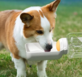 2-in-1 Trinkflasche für Hunde – Wasserflasche mit Futternapf für Unterwegs