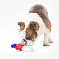 Kauspielzeug für Hunde – Interaktives Spielzeug Mit Saugfunktion zur Zahnpflege