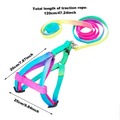 Buntes Hundegeschirr mit Leine – Verstellbares Set für Hunde in Regenbogenfarben