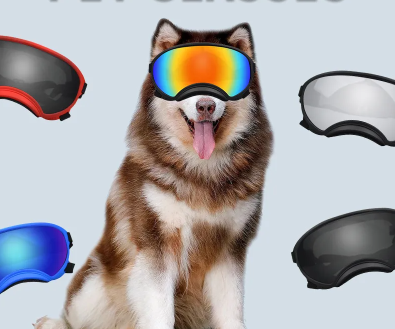 Schutzbrille für Hunde – Stylische Pet Brille mit UV-Schutz in Verschiedenen Farben
