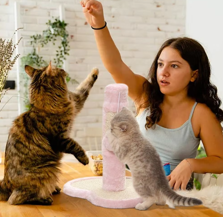 Katzenkratzbaum im Herz- Oder Stern-Design mit Spielzeug