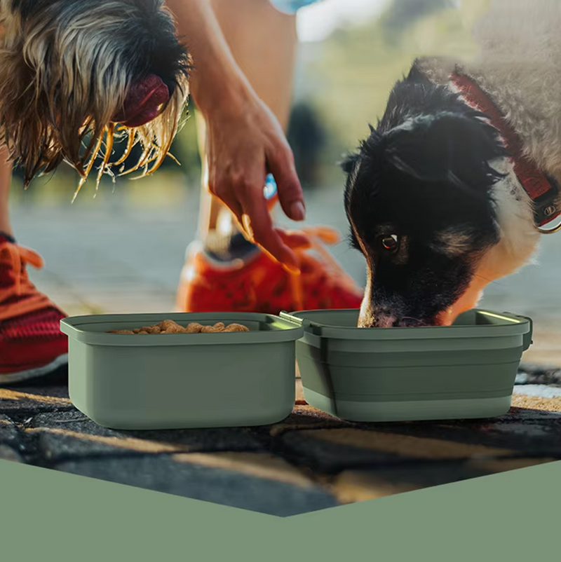 Silikon-Pflegebox für Haustiere – Praktischer Aufbewahrungskoffer für Tierbedarf