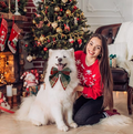 Kariertes Hunde Halsband mit Schleife für Weihnachten und Festliche Anlässe