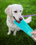 Tragbare Hundewasserflasche – Auslaufsicherer Reise-Spender Mit Integriertem Trinknapf