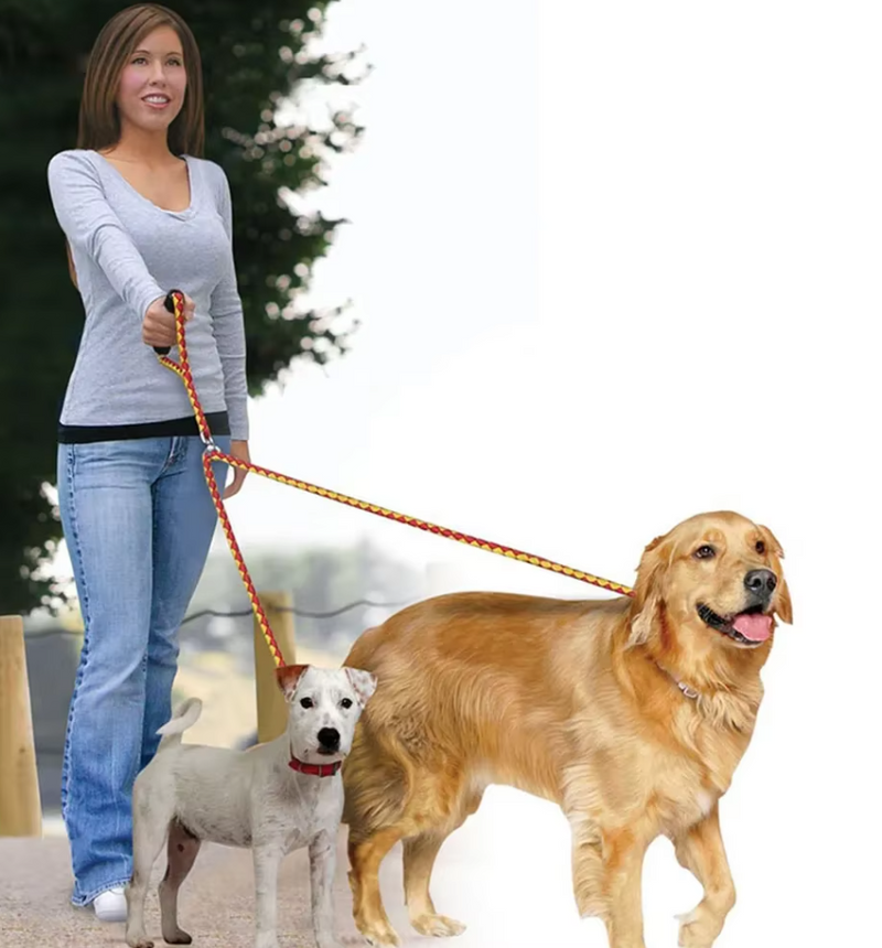 Hundeleine Aus Nylon – Robuste Doppelleine für Hunde im Set mit Handgriff