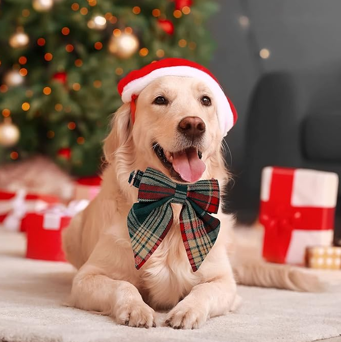 Kariertes Hunde Halsband mit Schleife für Weihnachten und Festliche Anlässe
