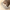 Katzenstreu Schale mit Hohem Rand – Praktisch und Hygienisch