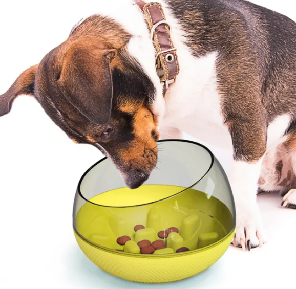 Interaktiver Futternapf für Hunde – Langsame Futteraufnahme zur Unterstützung der Gesundheit