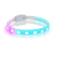 LED-Leuchthalsband für Hunde mit USB-Aufladung und Mehreren Farbmodi – Sichtbarkeit Bei Nacht