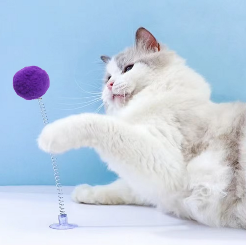 Federball Mit Saugnapf – Interaktives Katzen-Spielzeug