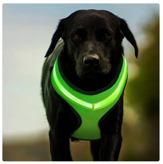 Bequeme Hundegeschirr mit Reflektorstreifen – Atmungsaktiv und Verstellbar