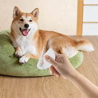 Zeckenentferner-Set – Sicheres Werkzeug Für Hunde  Katzen