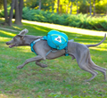 Hundewanderrucksack mit Wasserfesten Taschen – Tragbare Hundetrage für Outdoor-Aktivitäten