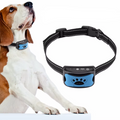 Hundetraining Halsband Mit Fernbedienung