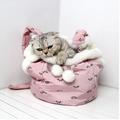 Kuschelige Katzenbett Tasche – Warm und Bequem mit Fleece-Innenfutter