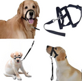 Verstellbares Hundegeschirr mit Leine – Komfortables Halfter für Kleine und Mittlere Hunde