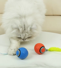 Interaktives Selbstfahrendes Katzenspielzeug mit Bewegungsanimation