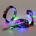 LED Hundehalsband mit Leine für sichere Spaziergänge