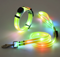 LED Hundehalsband mit Leine für sichere Spaziergänge