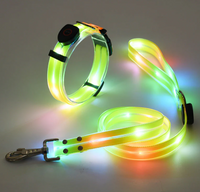 LED Hundehalsband mit Leine für sichere Spaziergänge