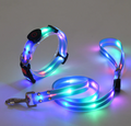 LED Hundehalsband mit Leine für sichere Spaziergänge